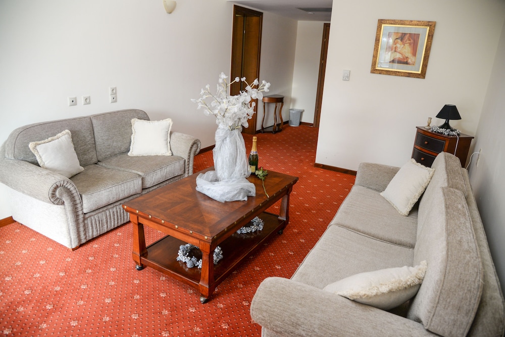 Arta Palace Hotel 33/52