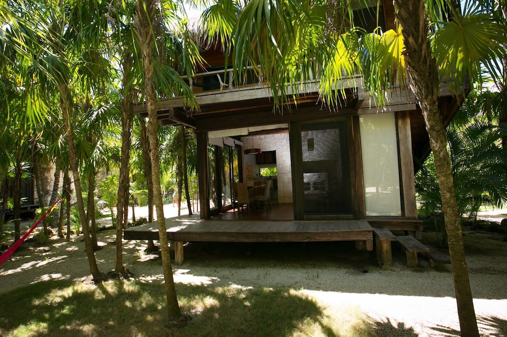 Vida Silvestre Tulum 44/50