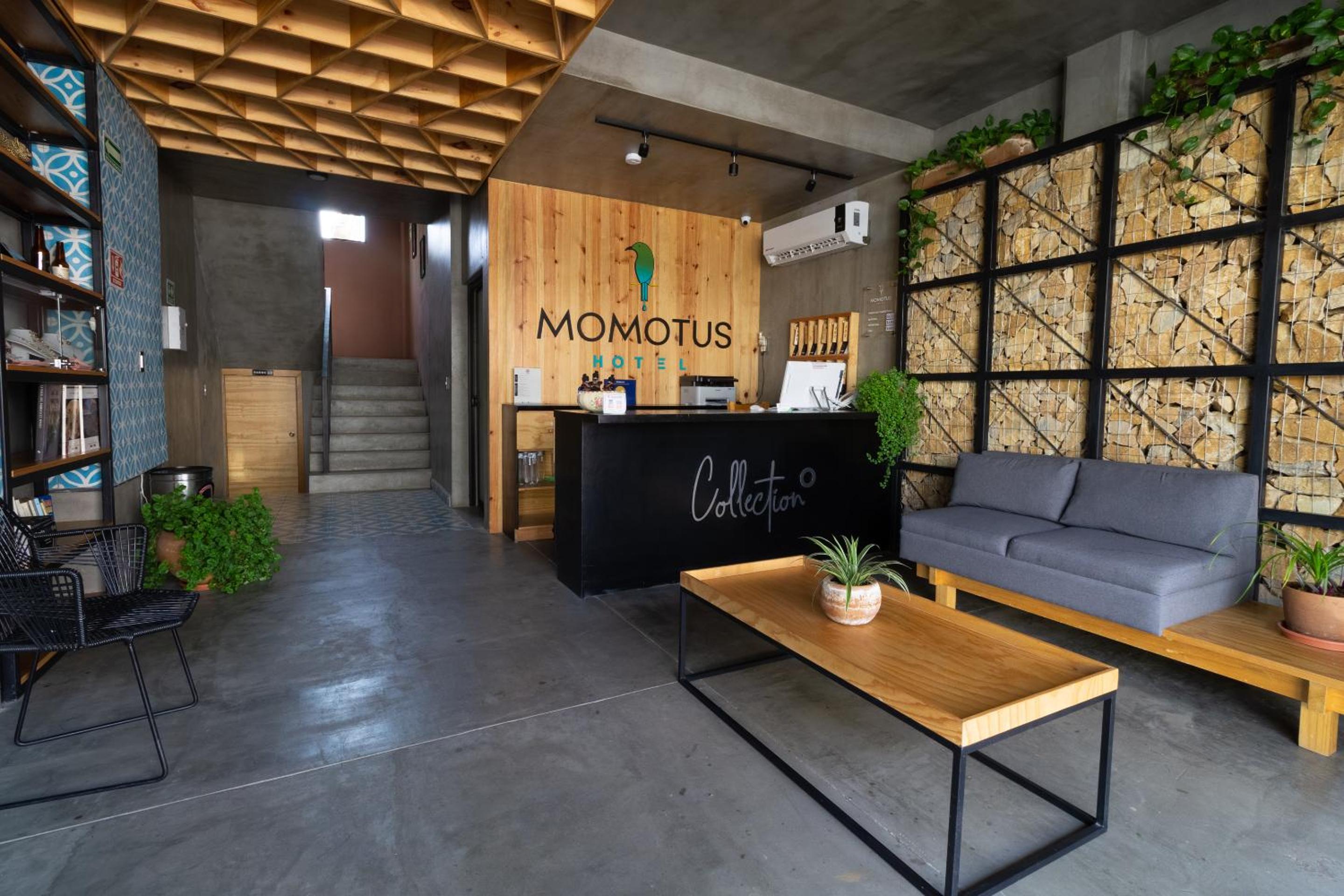Hotel Momotus 11/55