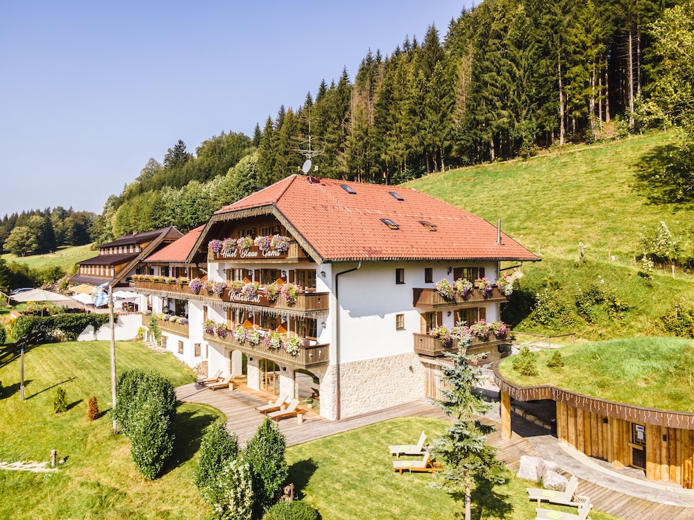 Hotel Blaue Gams 61/73