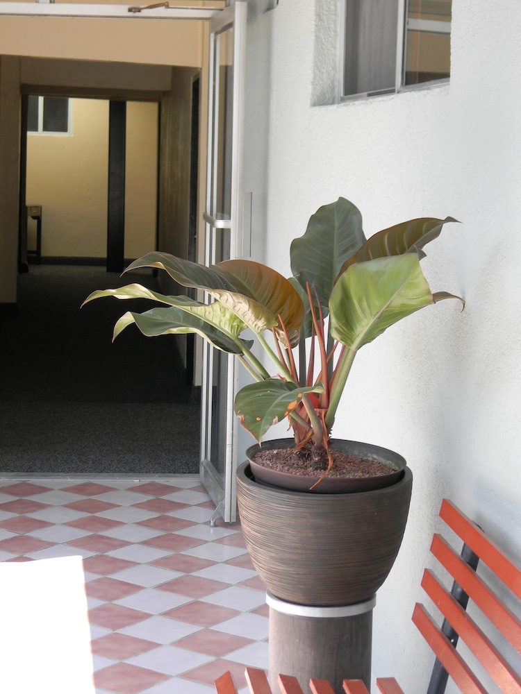 Hotel Plaza Hermosa 37/55