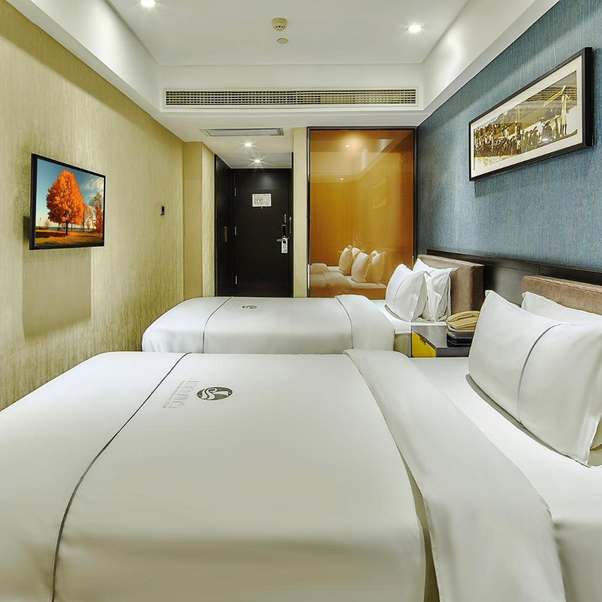 Standard, Single Bed