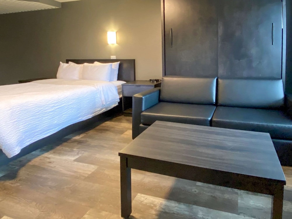 Room, Queen Bed, Murphy Bed