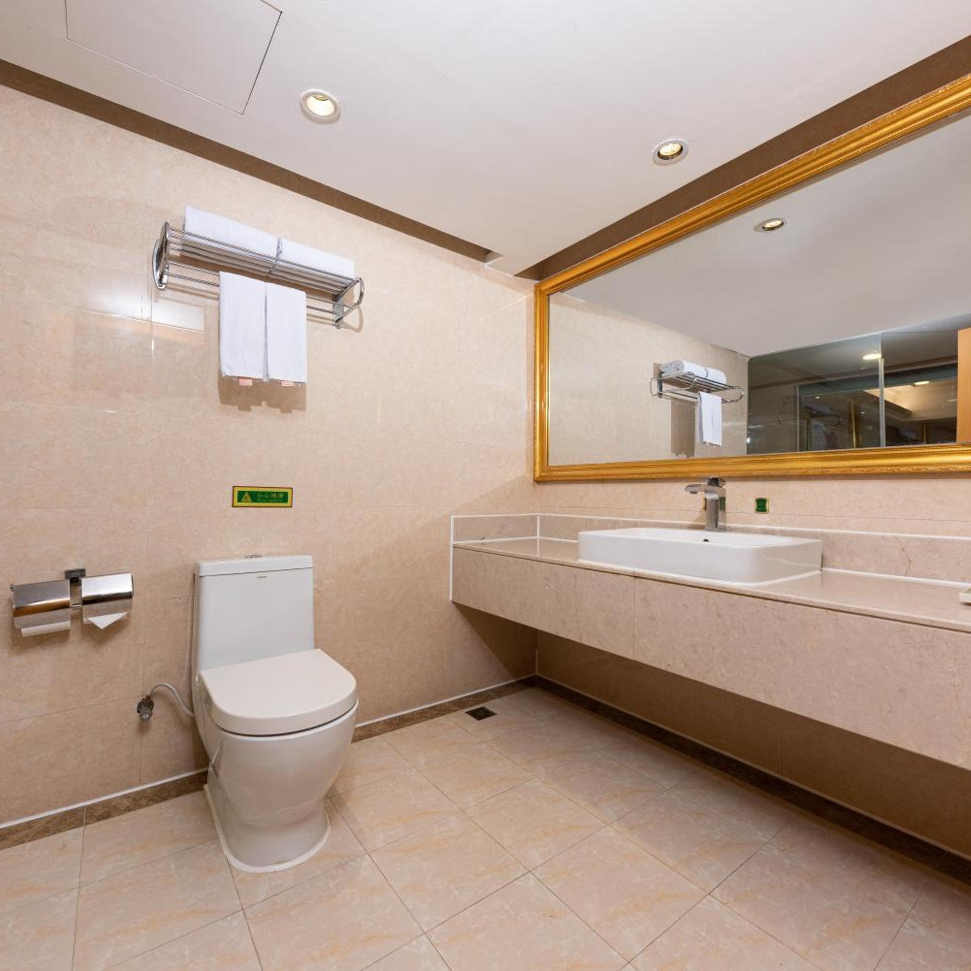 Vienna International Hotel (Wuhan Jiefang Avenue Tongji Medical College) 67/69