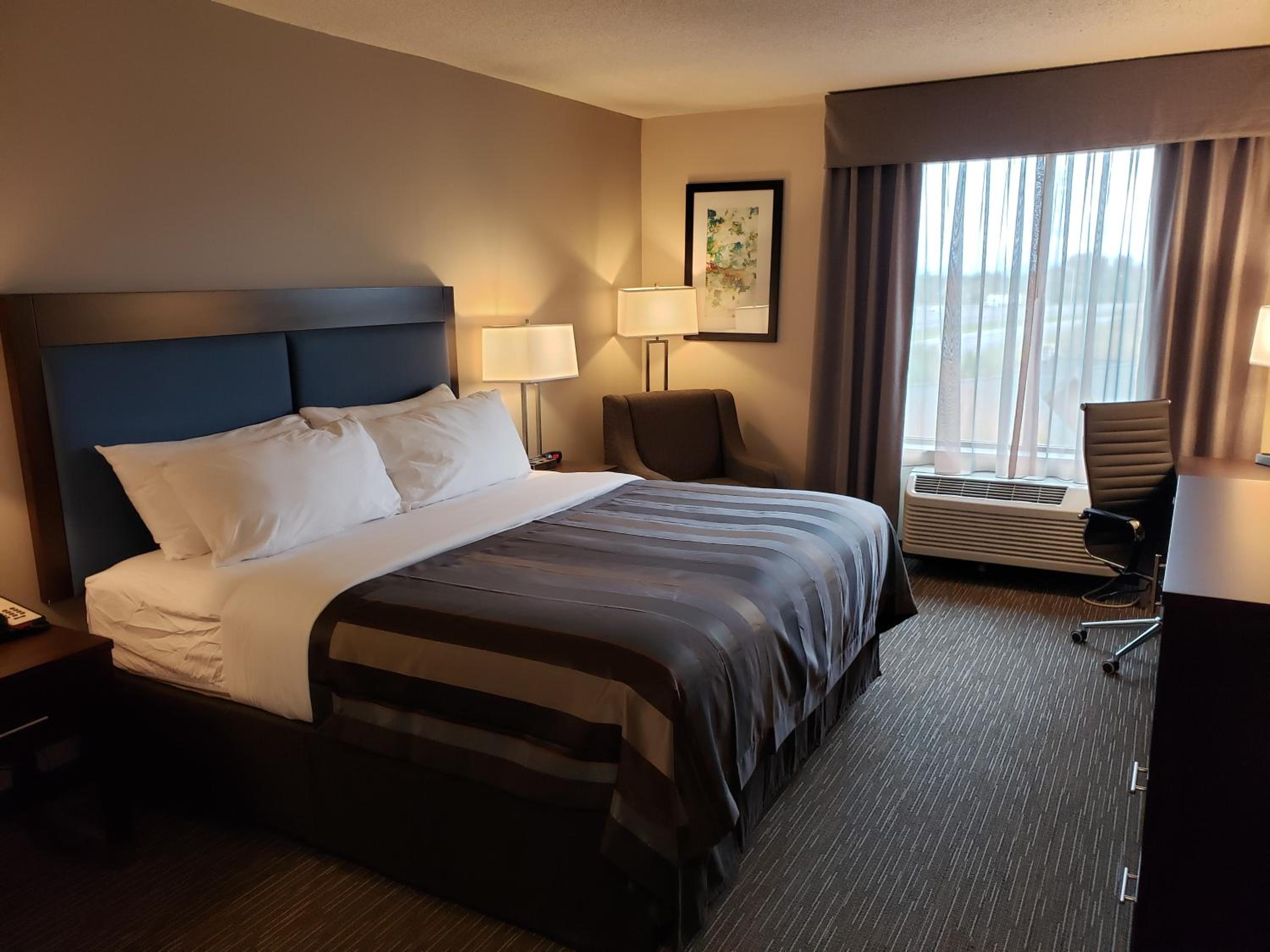 Suite, King Bed, Sofa