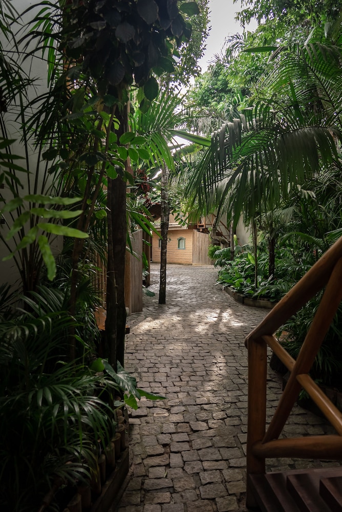 Cajueiro Premium Trancoso 36/50