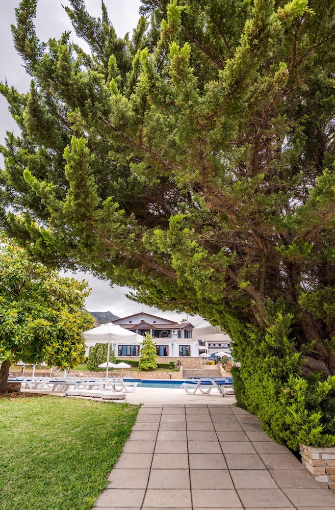 The Olive Tree Hotel 43/50