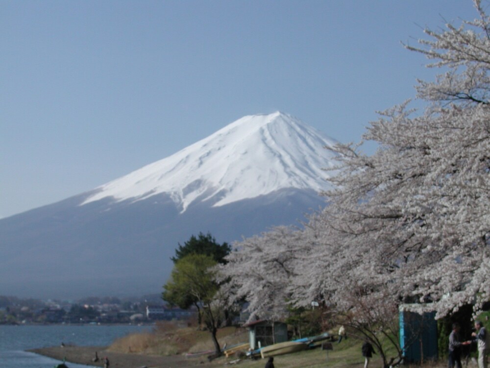 河口湖ペンション ウッドストック 写真3
