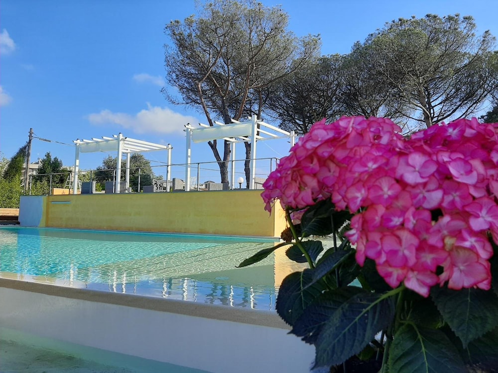 Orto di Roma 40/50