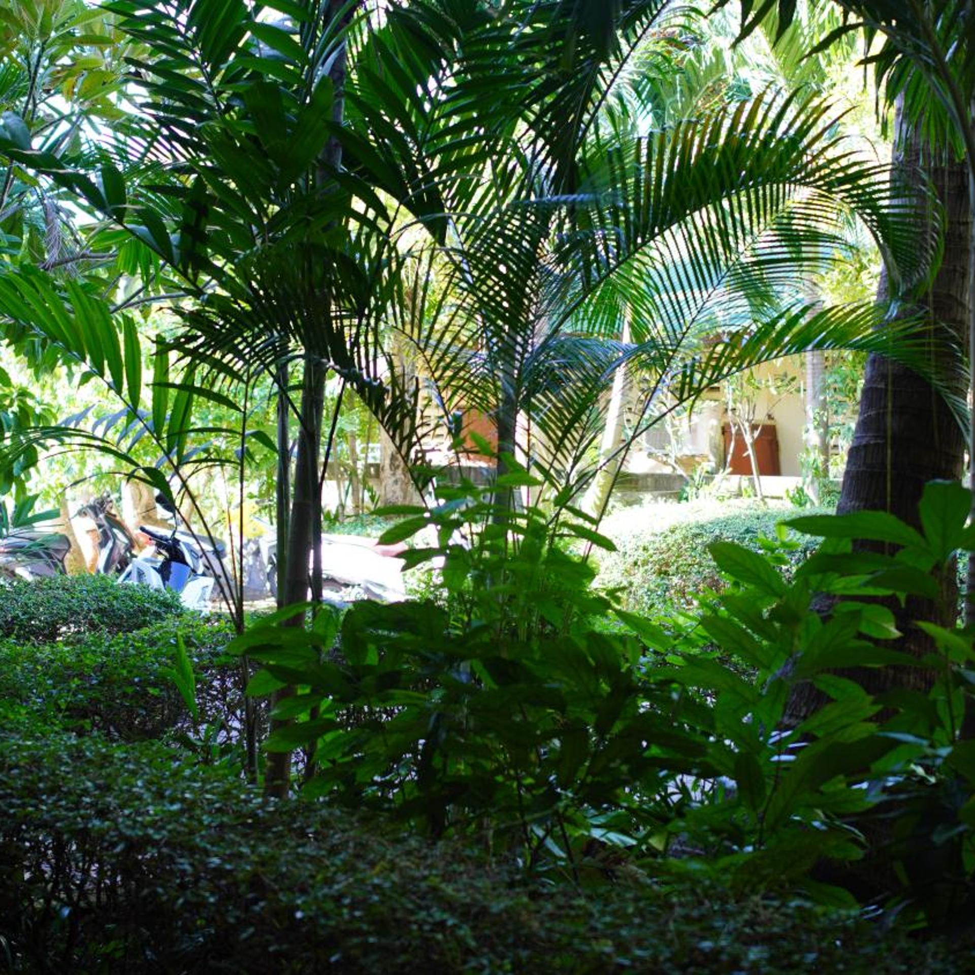 Baan Pitcha 45/51
