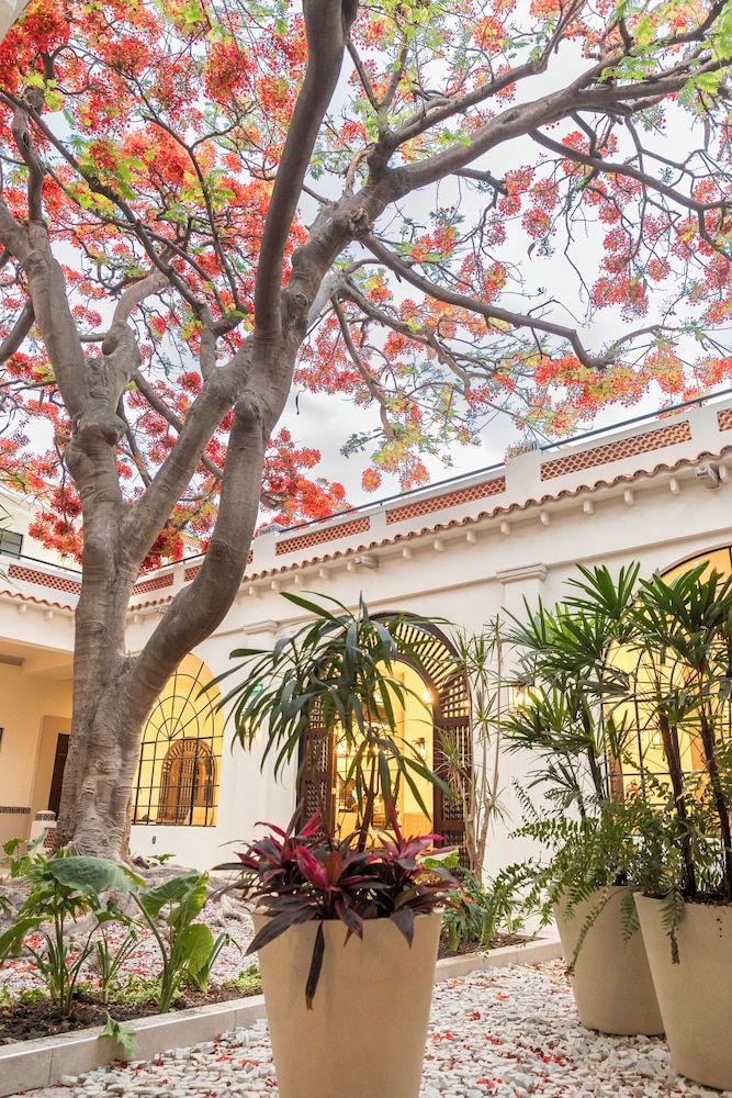 Gran Hotel Mexico 46/51