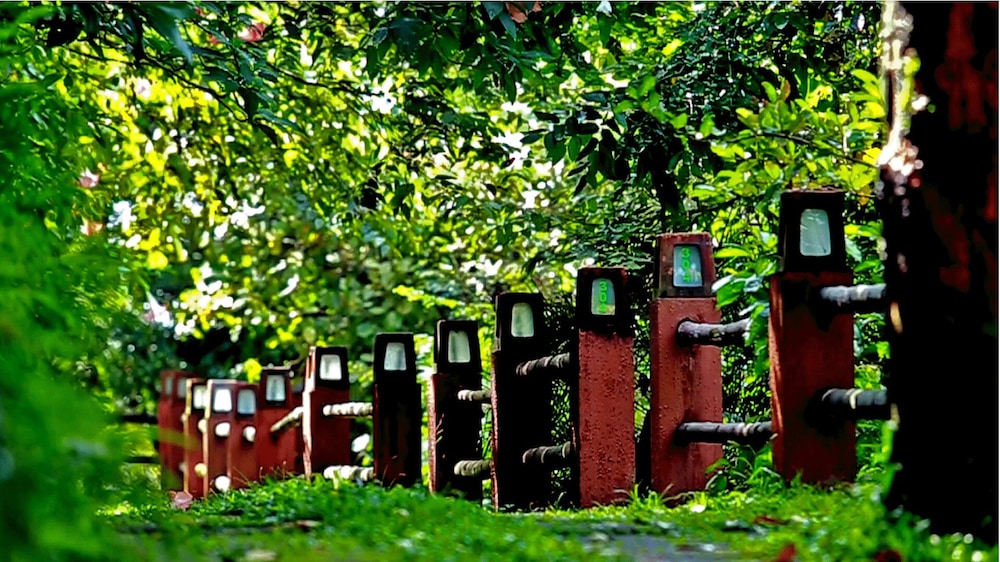 WAYANAD SILVERWOODS RESORT 48/55