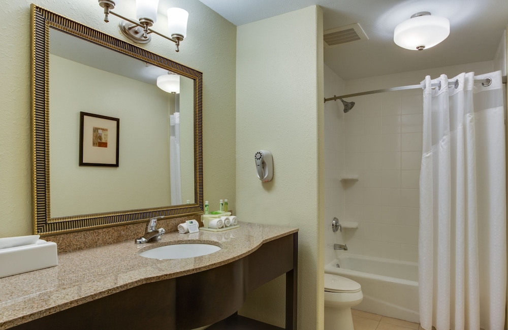 Holiday Inn Express Hotel And Suites Moultrie 20/50