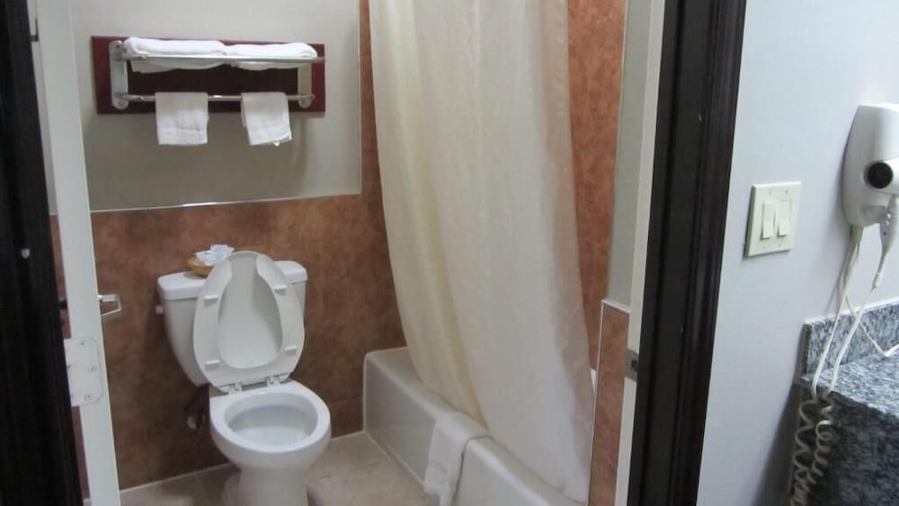 Palace Inn Greenspoint 15/30