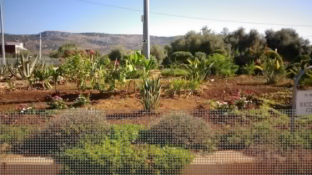 Zaiera Resort Club 13/30