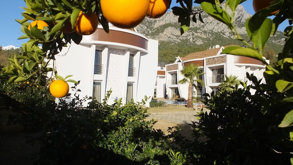 Hande Homes 24/39