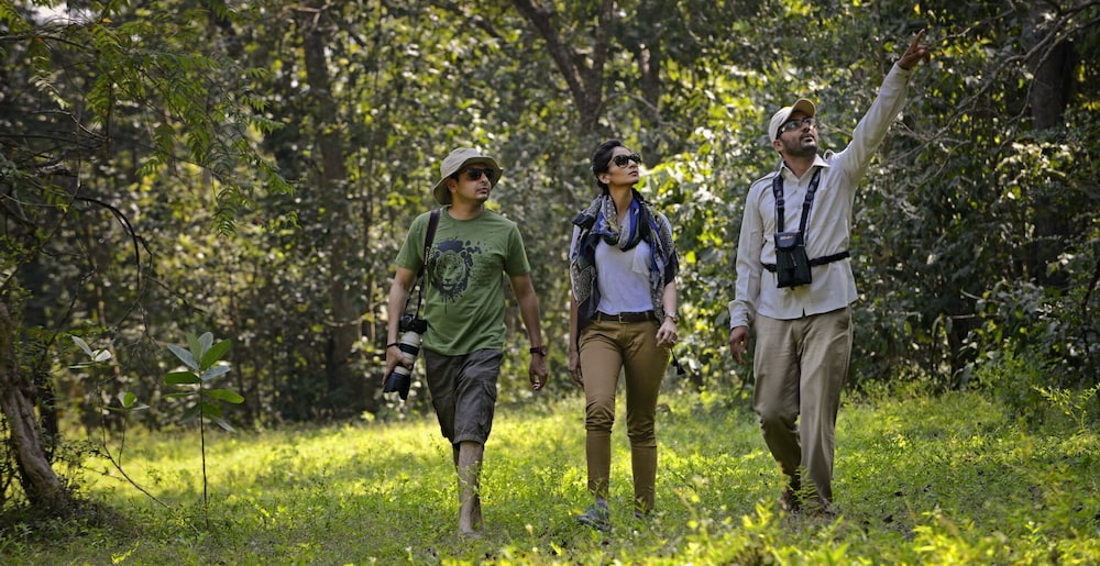 Kanha Earth Lodge 38/50