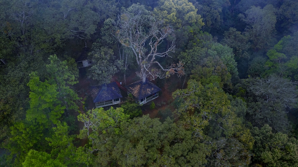 Nature Zone Resort 38/42