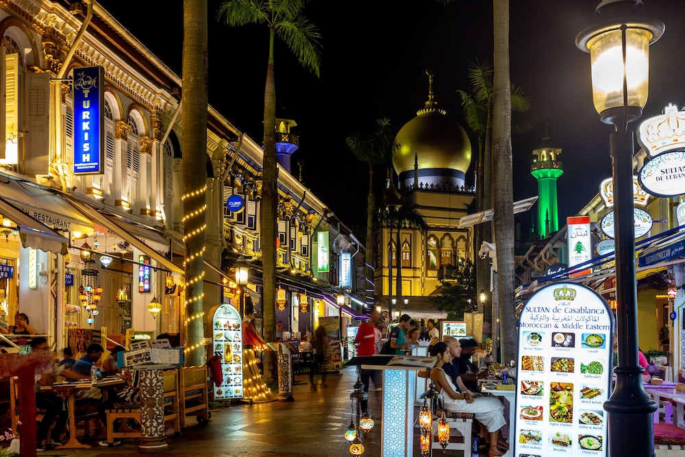 Met A Space Pod @ Arab Street 18/50