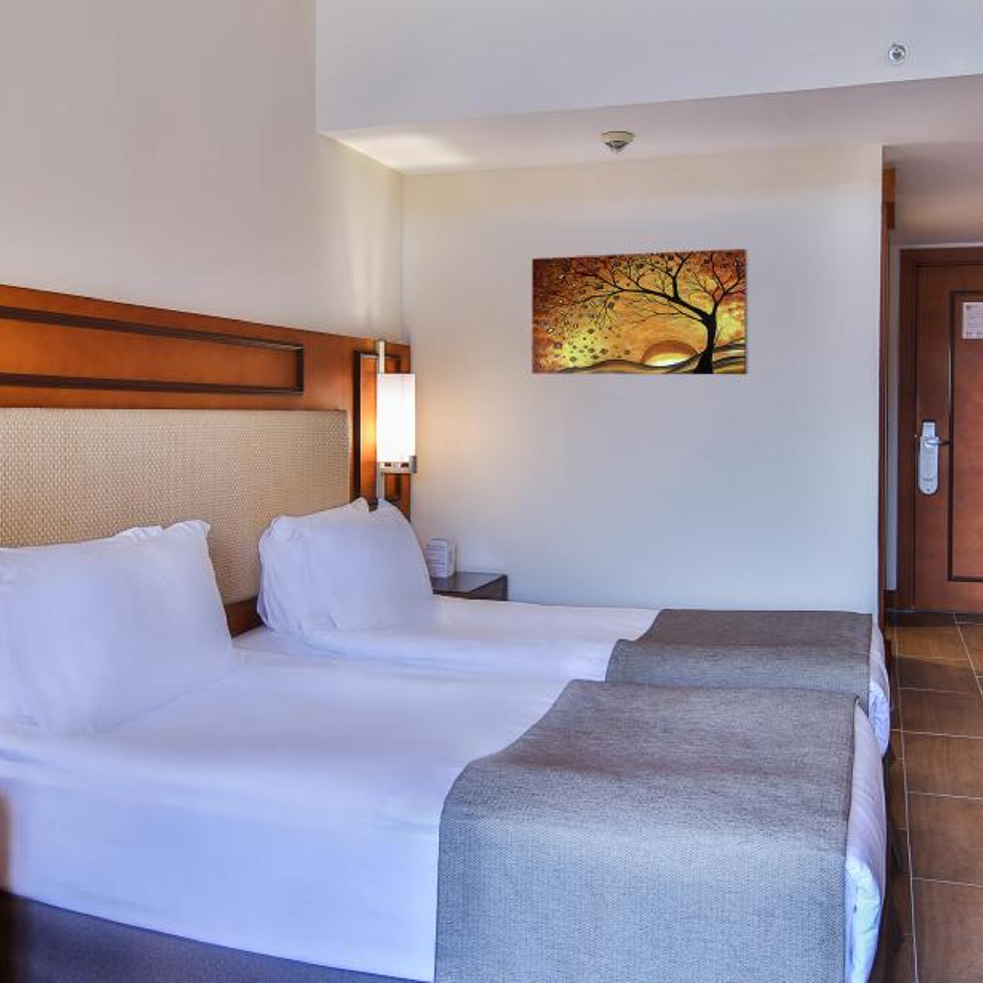 Standard, Double or Twin Bed, Side Sea View