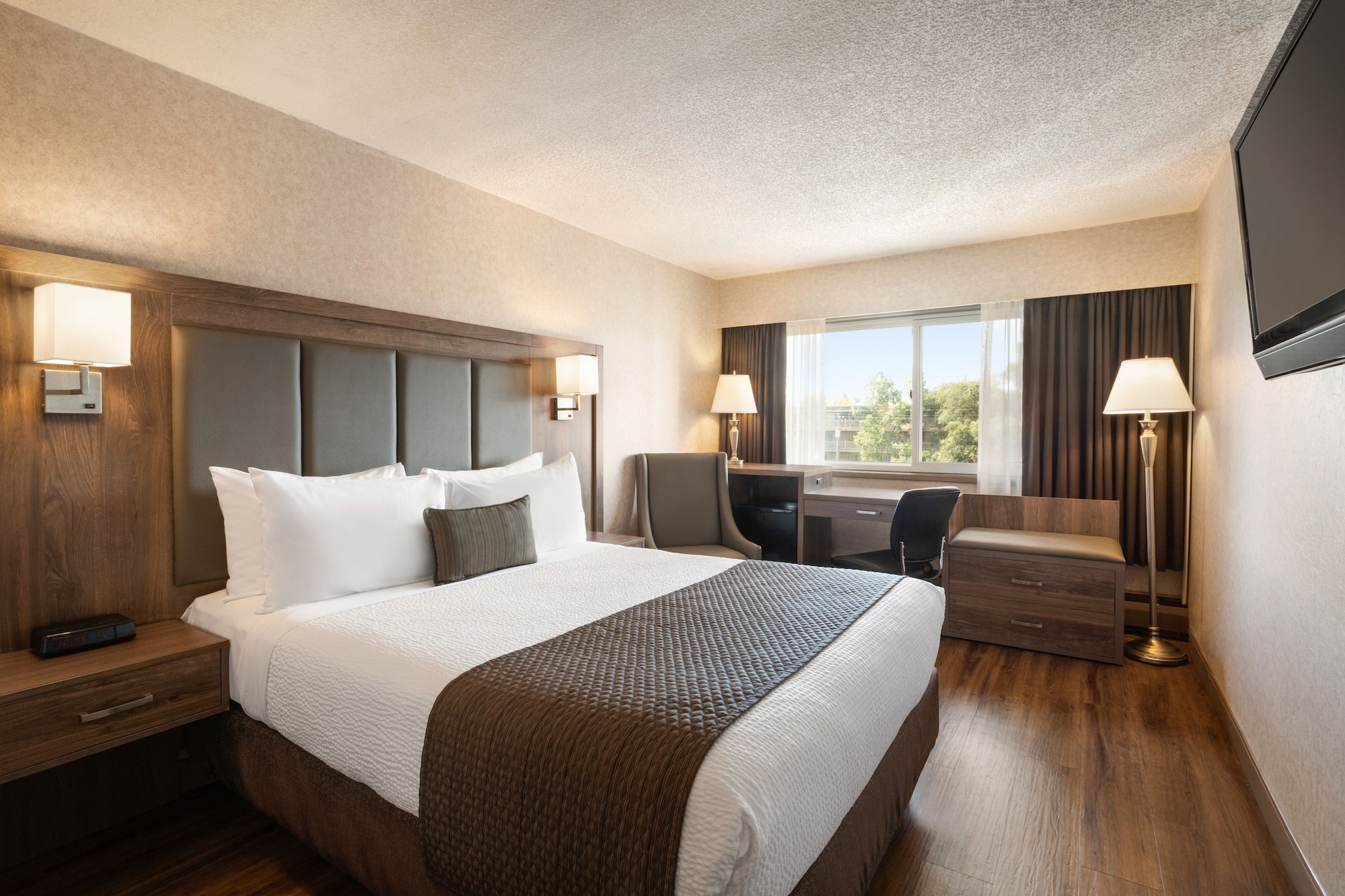 STANDARD, QUEEN BED, HARBOUR VIEW