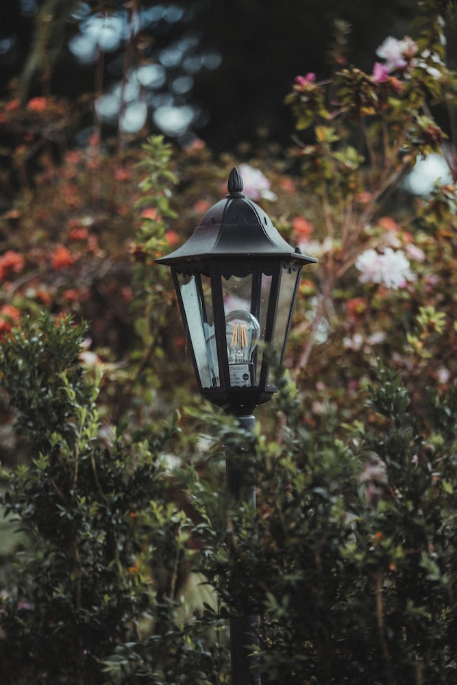 Villa Camelia Boutique House 40/50