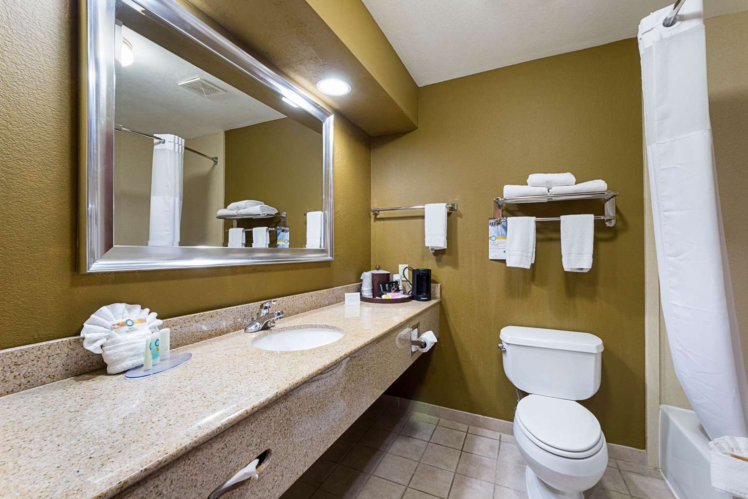 Quality Inn & Suites Buda, TX 18/21