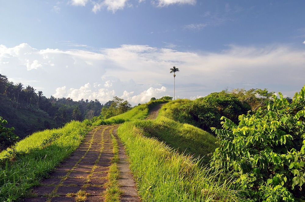 Sabana Ubud 40/49