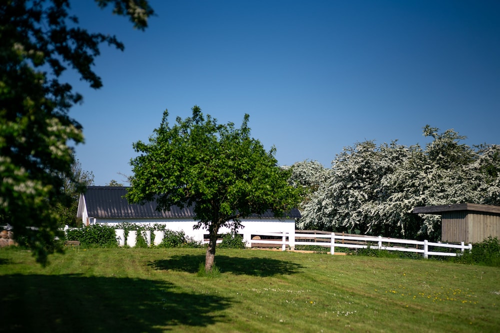 Den Gamle Graensekro 38/44