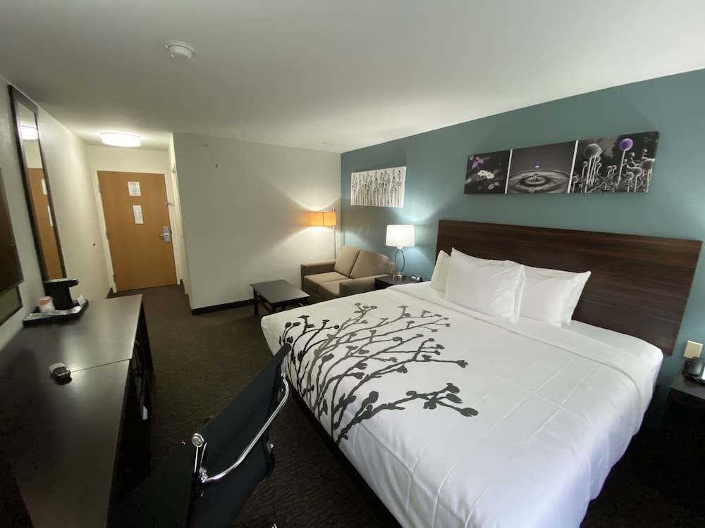 Upgrade, King Bed, Sofa