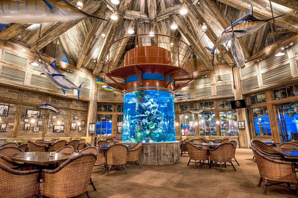 Big Cypress Lodge 36/50