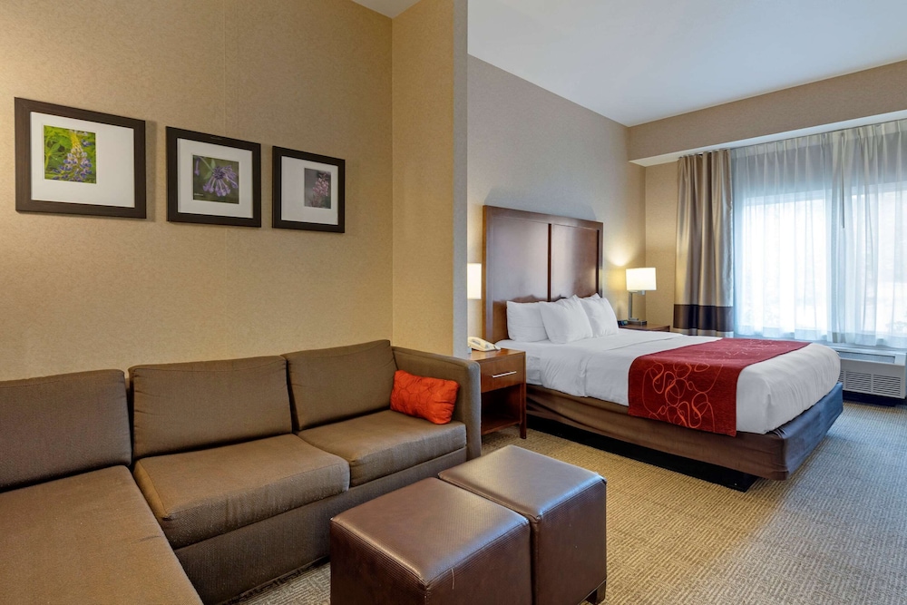 Comfort Suites Anchorage International Airport 7/31