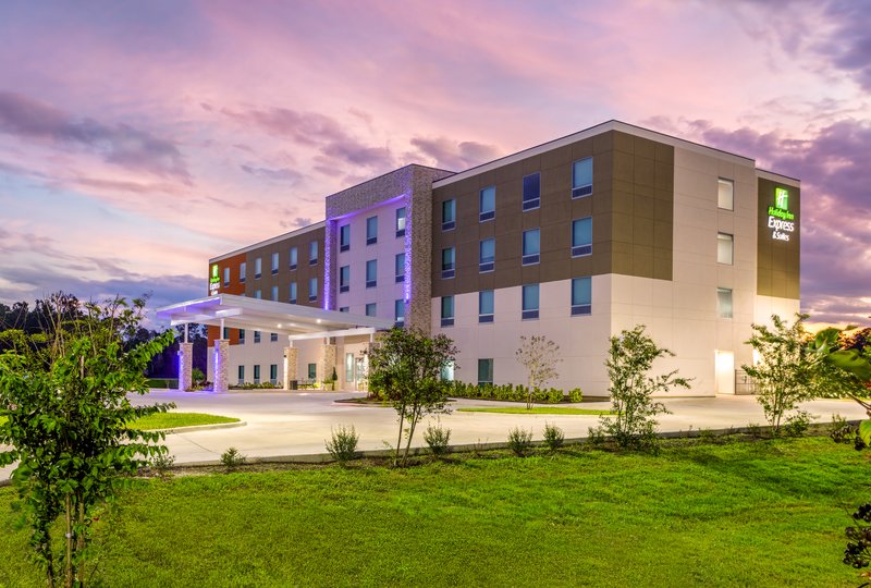 Holiday Inn Express & Suites Macclenny, an IHG Hotel 45/46