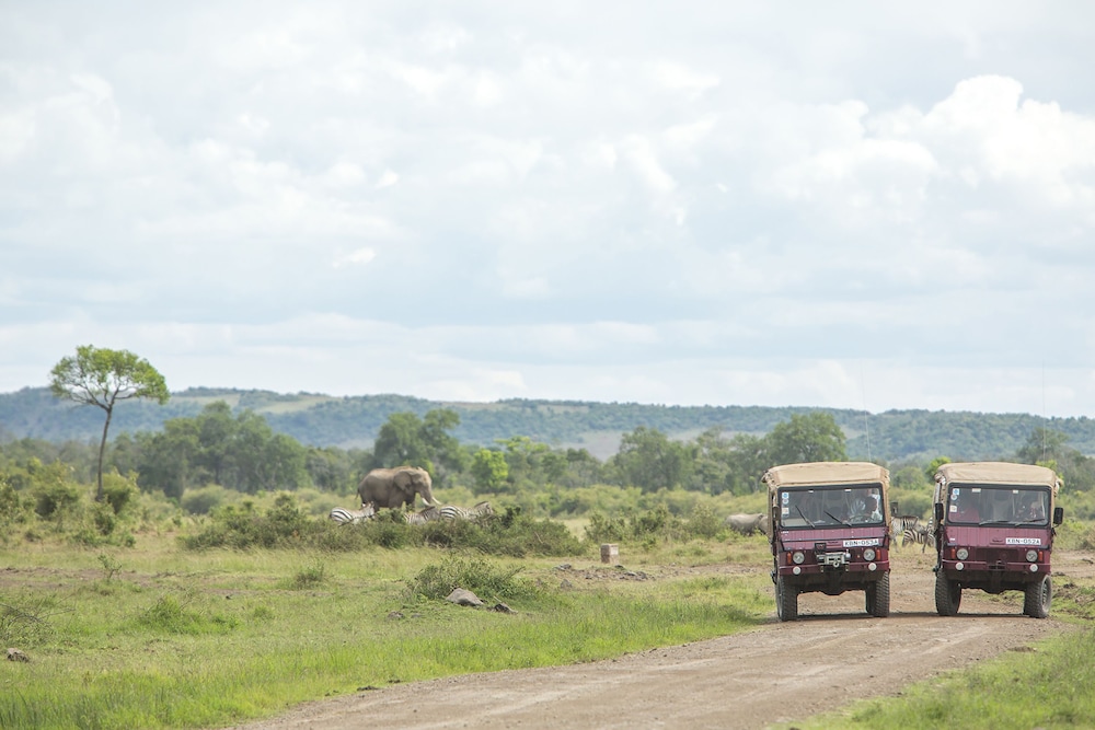 Mara Engai Wilderness Lodge 27/36