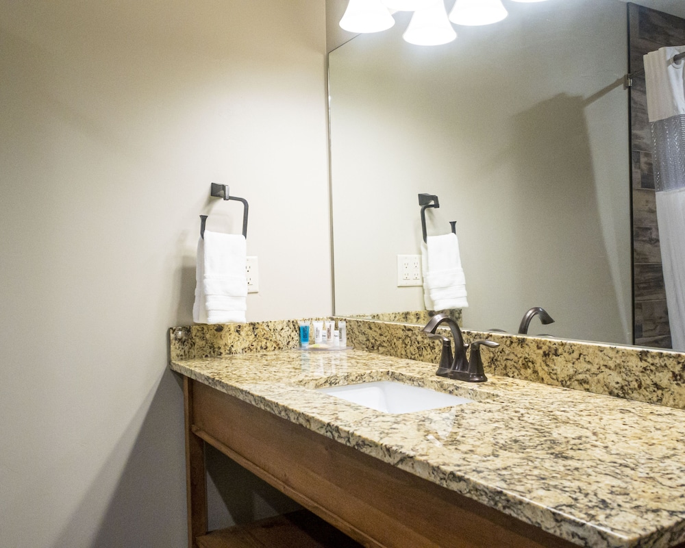 غرفة ديلوكس بسرير كينج لذوي الإعاقة، Sawtelle Mountain Resort 3/3