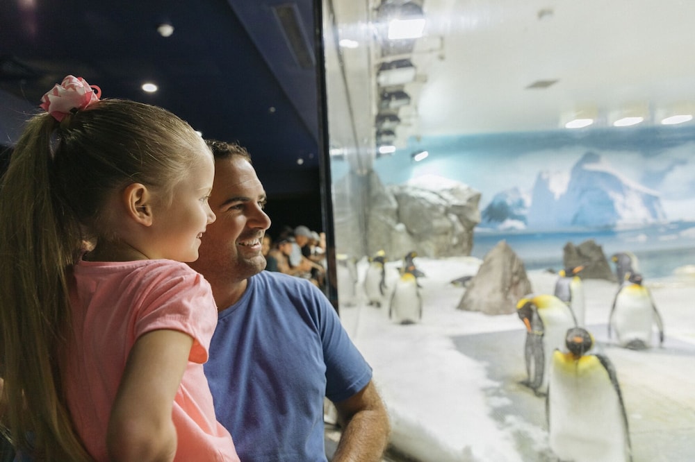 SEA WORLD RESORT 7/50