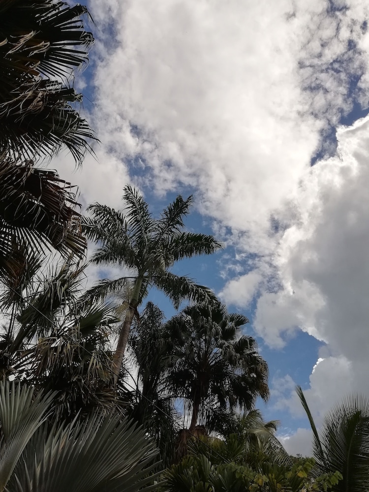 Omega Tours Adventure Company And Eco Jungle Lodge 32/50