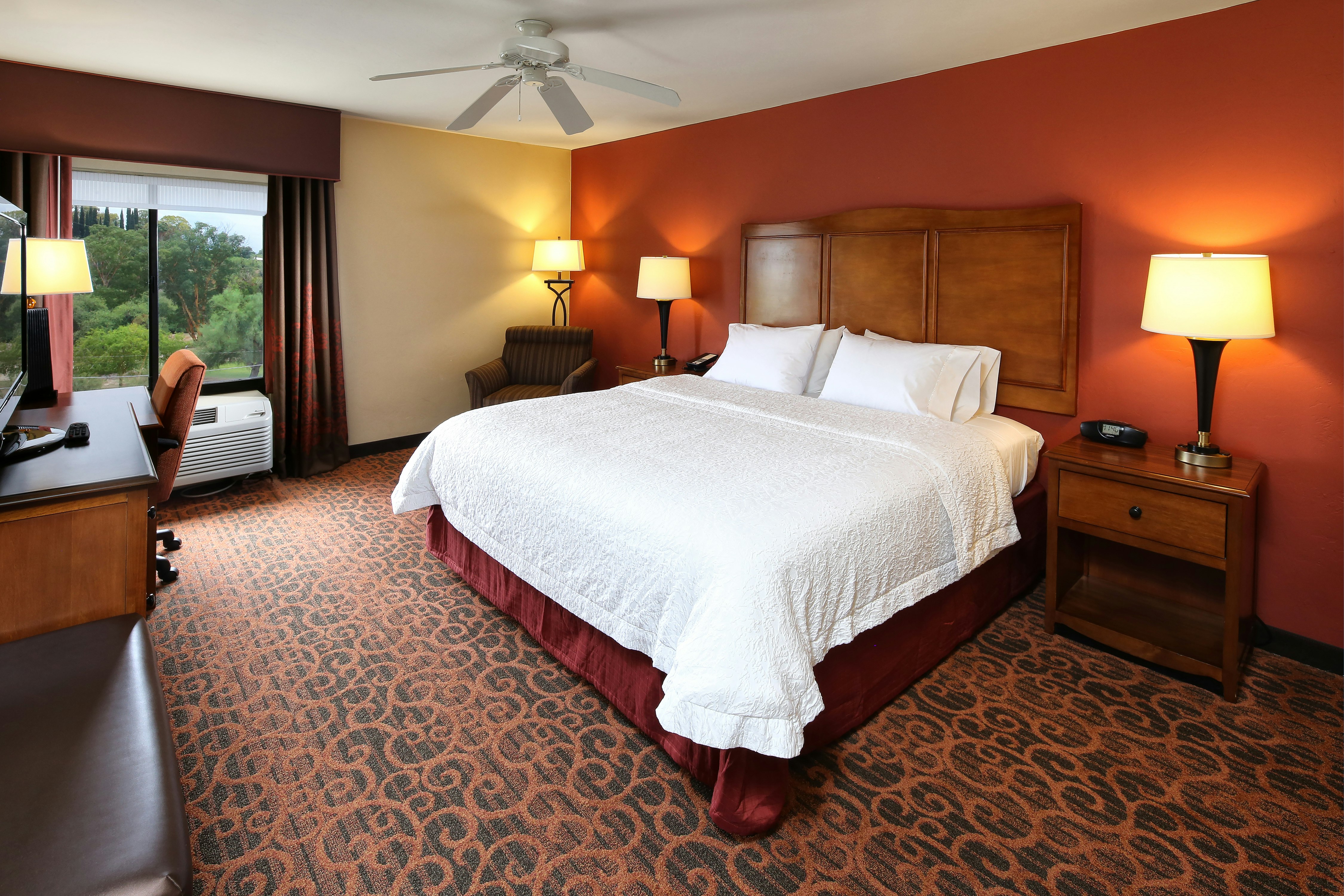 ROOM, QUEEN BED, ACCESSIBLE
