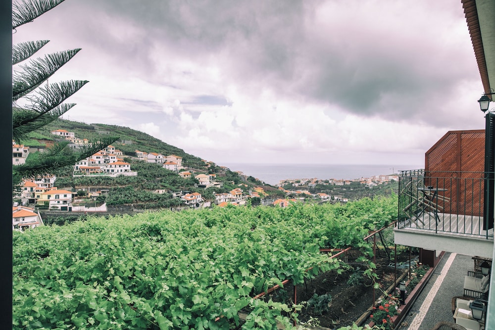 Quinta da Saraiva 32/50