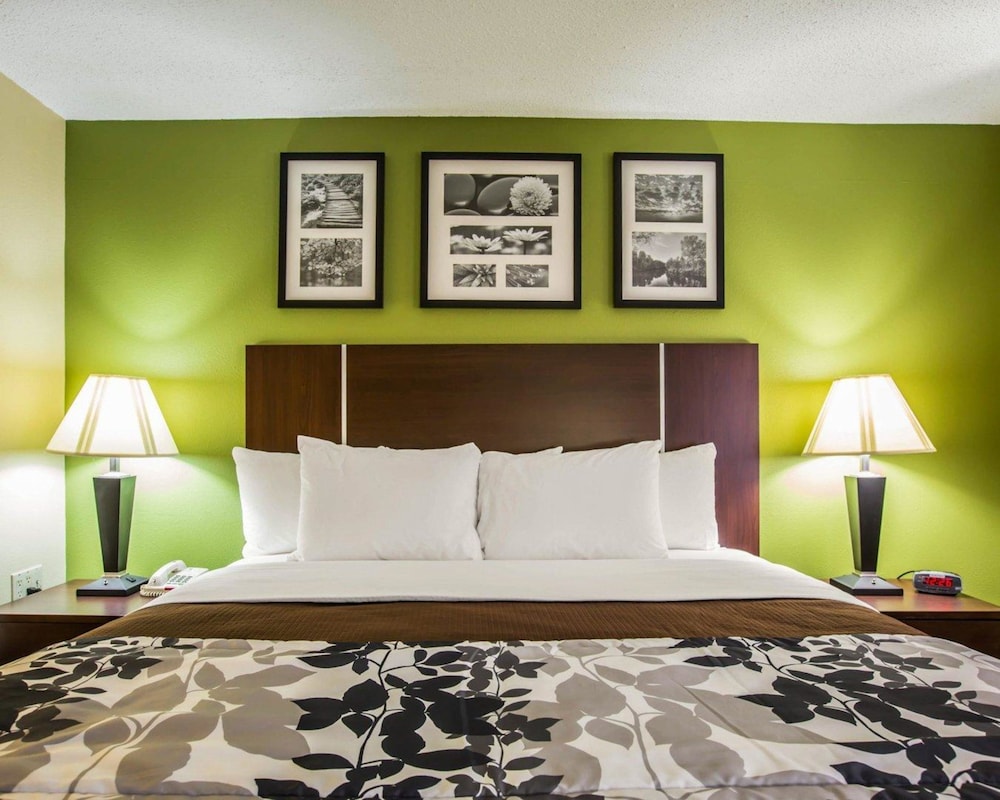 Sleep Inn Asheville - Biltmore West 15/41
