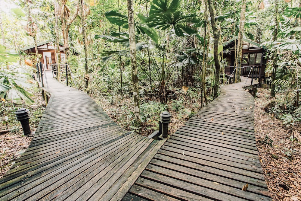 Daintree Wilderness Lodge 13/34