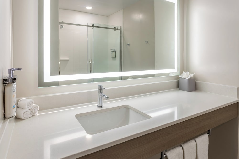 غرفة قياسية بسرير كينج لذوي الإعاقة، Holiday Inn Express Hotel & Suites Vineland Millville 6/6