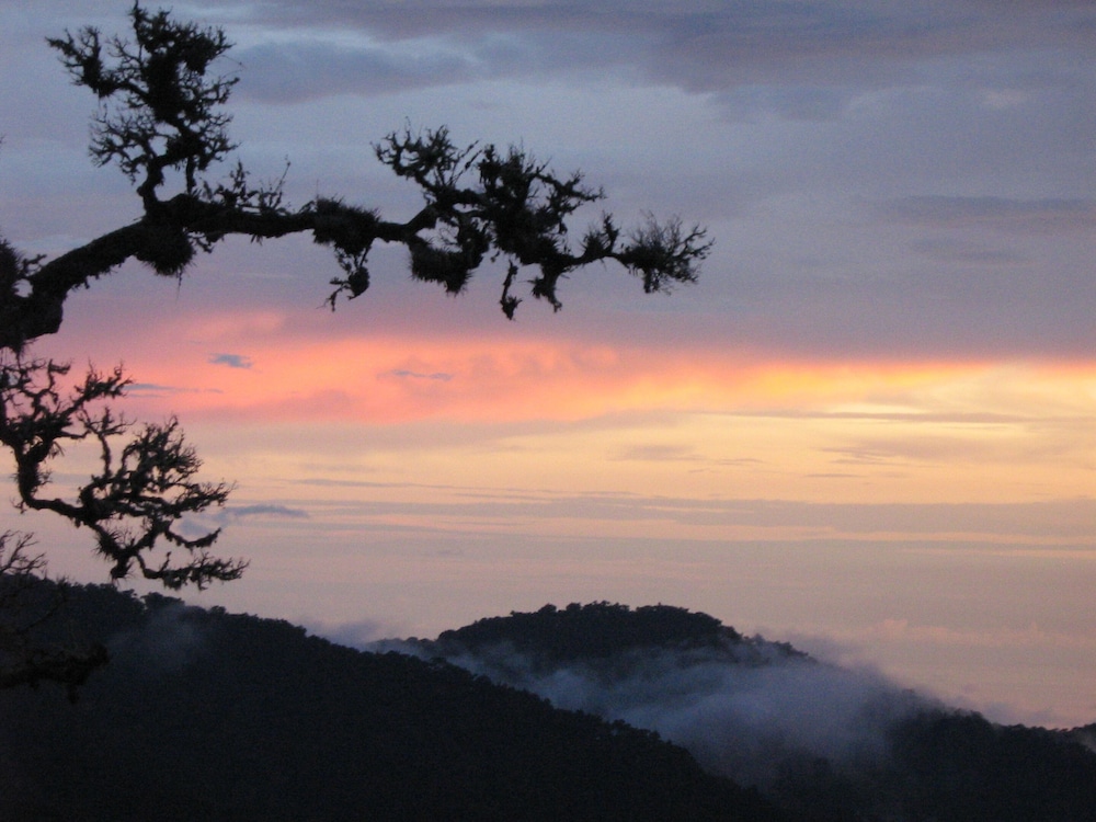 Dantica Cloud Forest Lodge 45/50