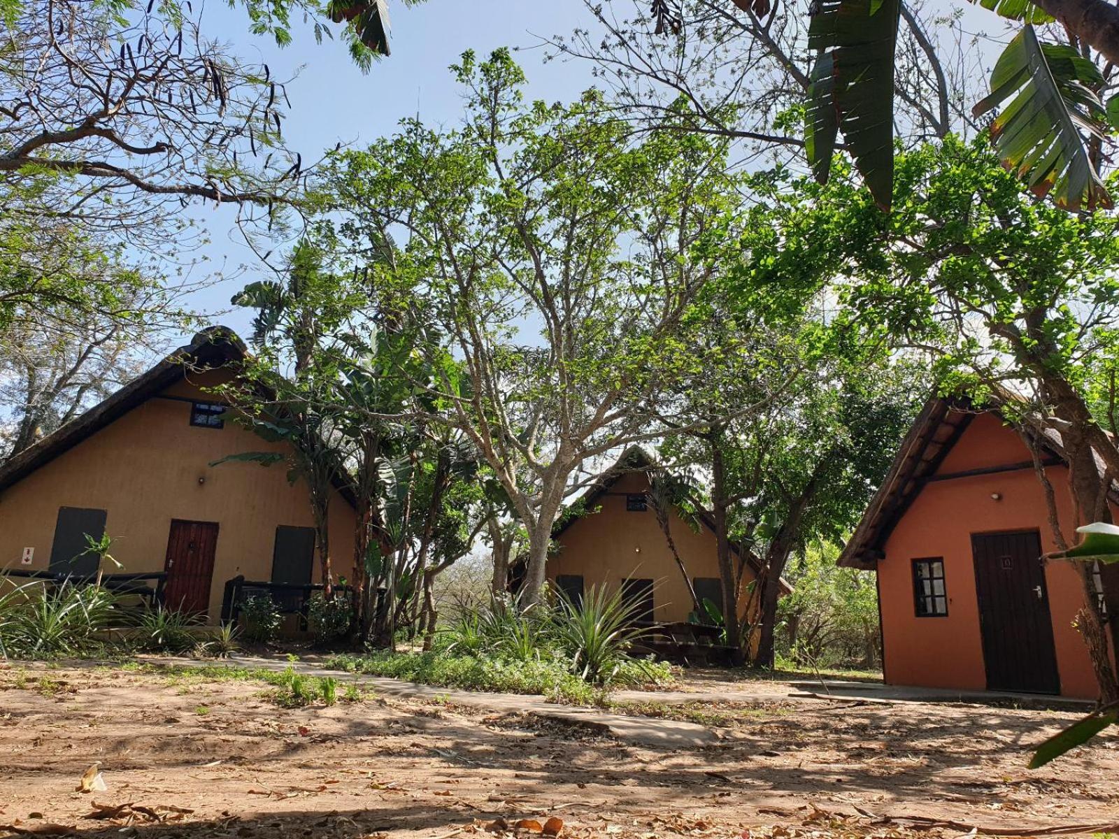 Pumusa Bushcamp 36/48