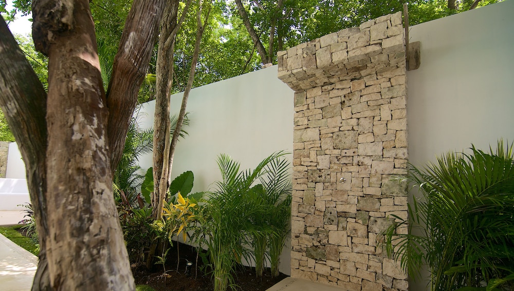 Livetulum 22/58