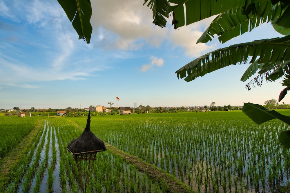 Sotis Villa Canggu 47/52
