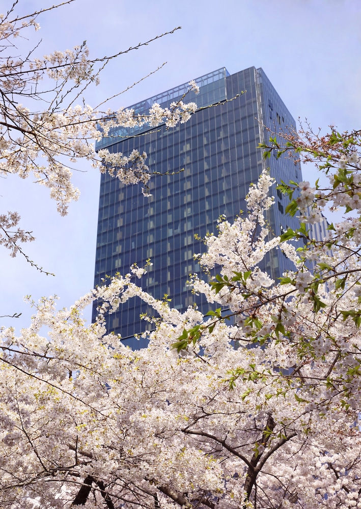 Sofitel Ambassador Seoul Hotel and Serviced Residences 1/71