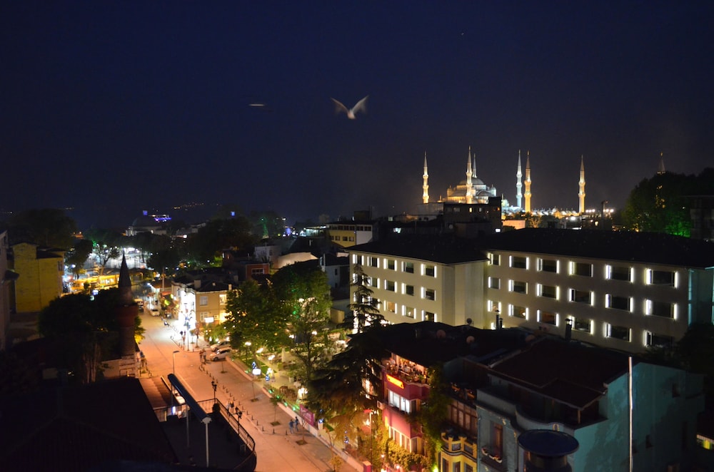 THE ISTANBUL HOTEL 26/50