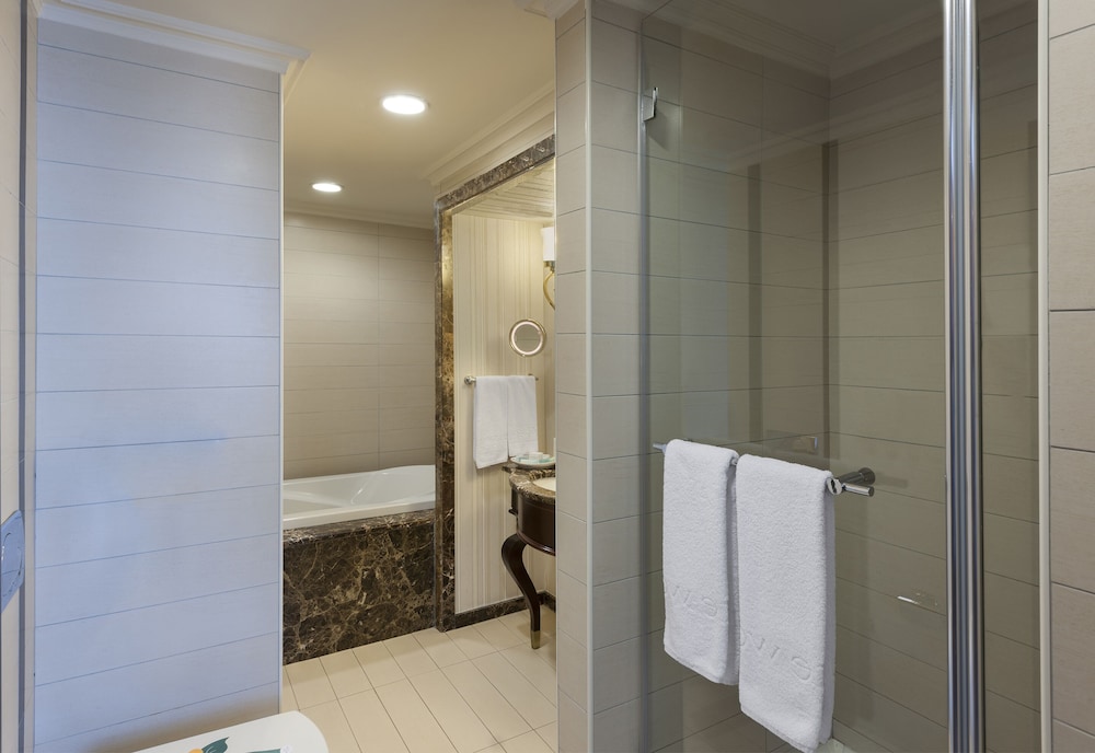 Elite World Istanbul Taksim Hotel 11/50