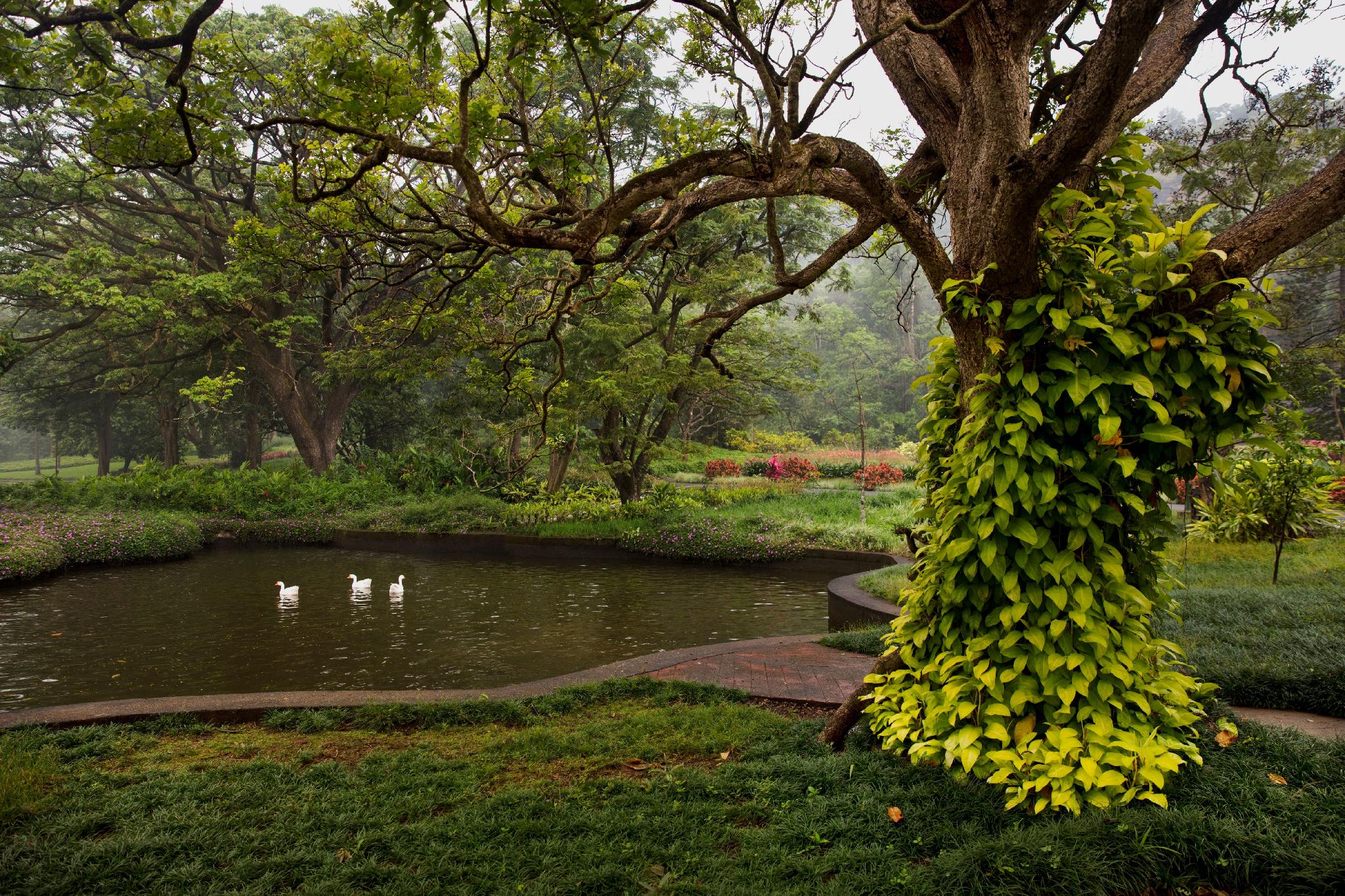 ama Stays & Sluice House Lonavala 28/38